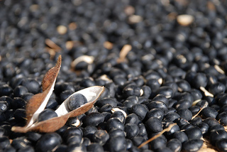 Black Soybeans